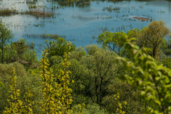 Lesko-Bieszczady-fot-Daniel-Dudka-Cudne-Podkarpackie12