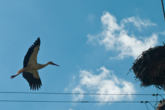 Lesko-Bieszczady-fot-Daniel-Dudka-Cudne-Podkarpackie2