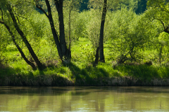 Lesko-Bieszczady-fot-Daniel-Dudka-Cudne-Podkarpackie7