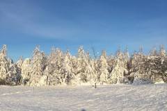 Bieszczady-dom-do-wynajecia-piekne-widoki-7