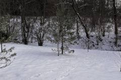 Dom-do-wynajecia-Kulaszne-Bieszczady-10